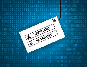 Microsoft Seizes Six Domains Used in Sophisticated Phishing Scheme