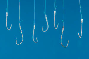 Phishing Attacks Continue to Grow More Sophisticated
