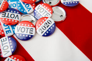 Manipulation by Disinformation: How Elections are Swayed