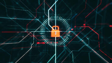 A Ransomware Victim Refuses to Pay