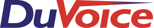 DVSS1-INT