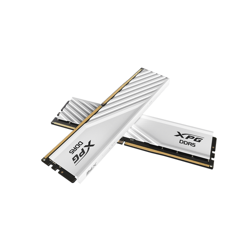 AX5U5600C4632G-DTLABWH