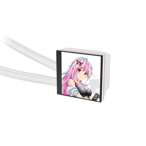 CL-W433-PL12SW-A