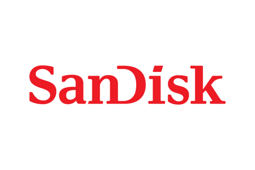 SDSDXXD-128G-GN4IN