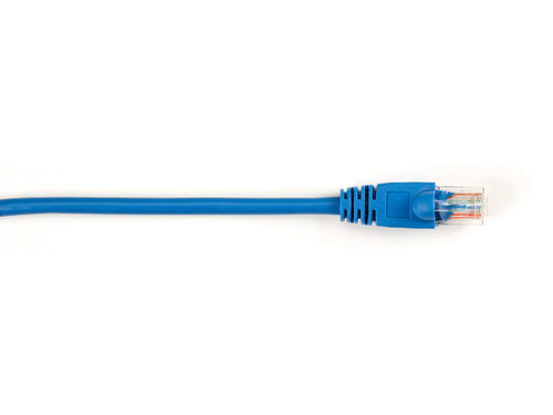 CAT5EPC-005-BL-25PAK