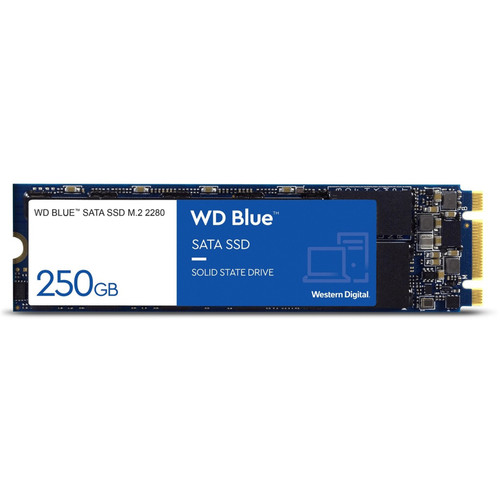 WDS250G2B0B