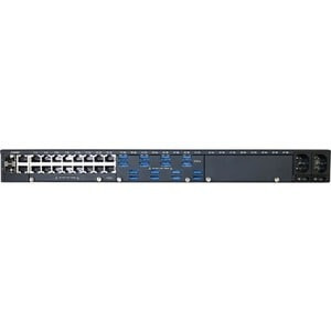 04033524