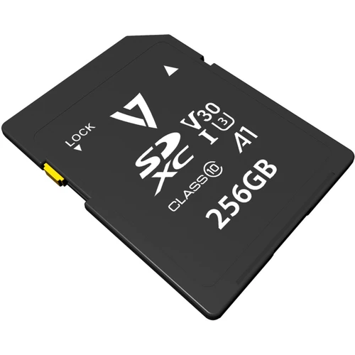 VPSD256GV30U3
