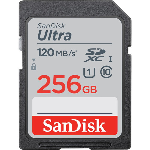 SDSDUN4-256G-AN6IN