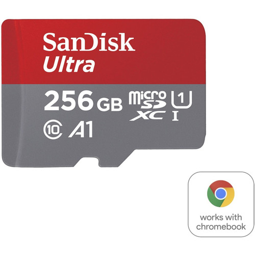 SDSQUA4-256G-GN6FA