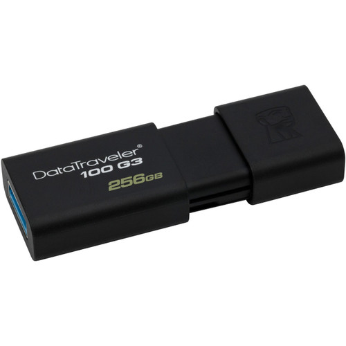DT100G3/256GB
