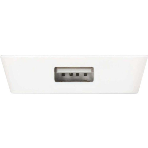 iStore Vertical Wall Charger (2.4 amps) - Input connectors: USB - LED Indicator, Compact - APA754CAI