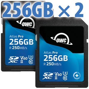 OWCSDV60P0256W