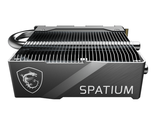 MSI Spatium M570 Pro Pcie 5.0 Nvme M.2 Frozr 4Tb - SPATIUM M570-4T