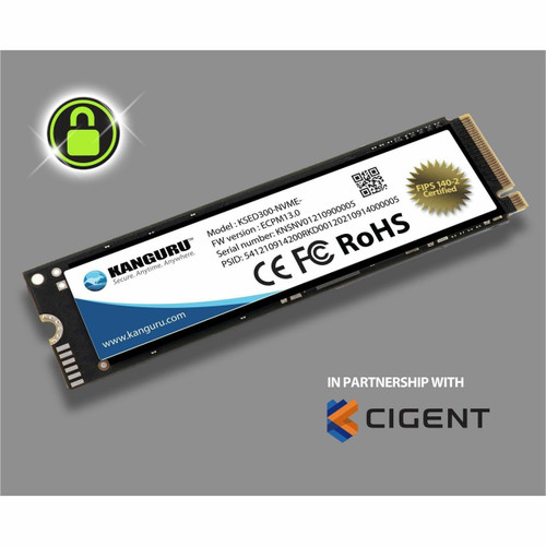 CIG-KSED300-NV-2T