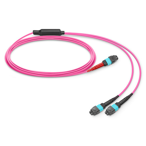 24F-MTPF2XO-POM4-21M-ENC