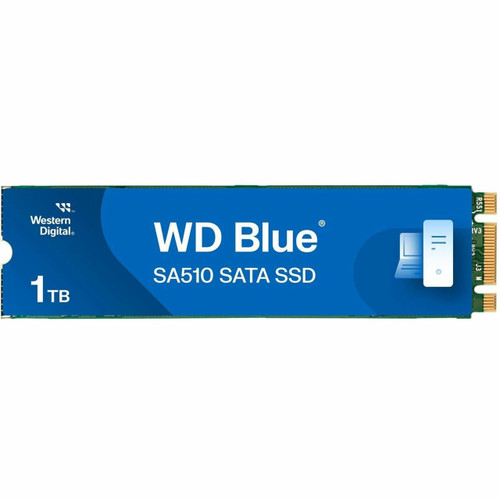 WDS100T3B0B-00AXS0