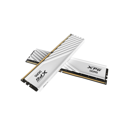 AX5U6000C3032G–DTLABWH