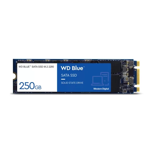 WDS100T2B0B-00YS70