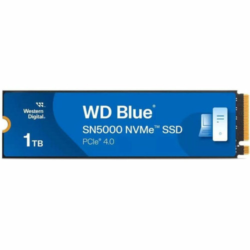 WDS100T4B0E-00CNZ0