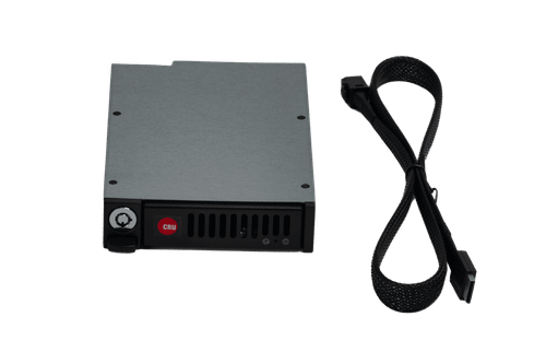 CRU-DataPort 2 TB Solid State Drive - QX310-M2N220006