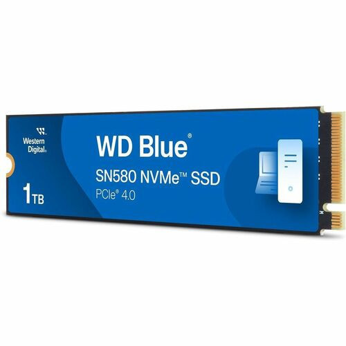 WDS100T3B1E-00CHF0