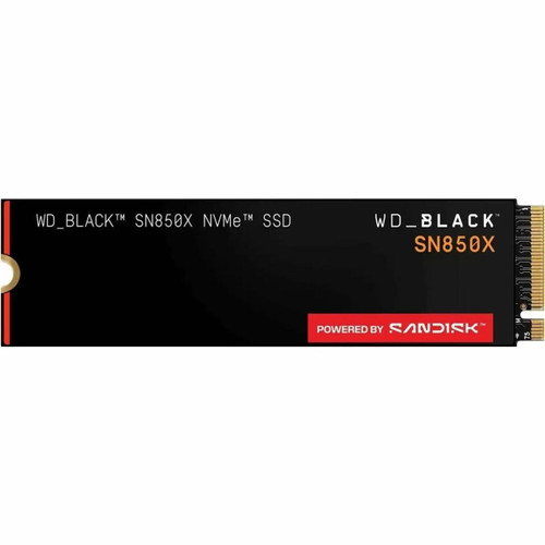 WDS100T2X0E-00BCA010PK