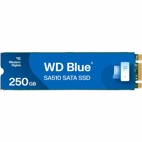 WDS250G3B0B-00AXS0PK