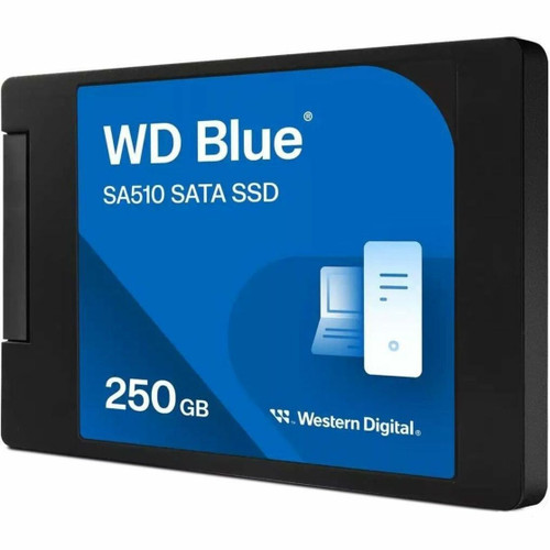 WDS250G3B0A-00AXR0PK
