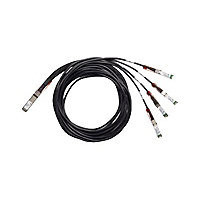 Q-4SFP25G-CU2.5M=