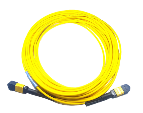 CB-M12-M12-SMF30M=