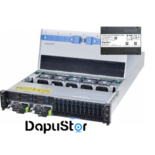 DapuStor DAPUSTOR ROEALSEN5 S5Z CONFIGURATOR Rack Server