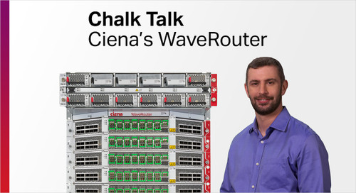 Ciena WaveRouter Coherent Metro Router