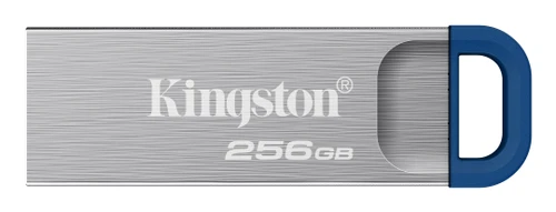 DTKNG2/256GB