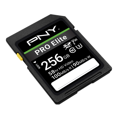 P-SD256V30100PRO-GE