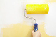 How to Choose a Professional Painter for Your Renovation