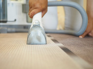 The Ultimate Guide to Carpet Cleaning Adelaide: Why It Matters for Your Home