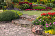 How to Make an Amazing Garden: Complete Guide