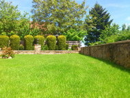 How to Choose the Best Grass for Your Lawn