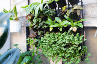 Levelled Up Landscaping: 6 Ways To Add Vertical Space To Your Garden