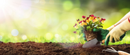 Tactfully Tiny - How to Make the Most of a Small Garden