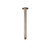 Meir Round Champagne Brass 300mm Ceiling Shower Arm for luxury bathrooms in Australia