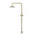 Meir Round Tiger Bronze Shower Rail Set with Universal Water Inlet and PVD Gold Finish for Australian Luxury Bathrooms