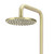 Meir PVD Tiger Bronze Round Shower Rose 200mm for luxury bathroom renovations in Australia.