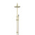 Modern brushed gold shower rail set featuring a large round rainfall head and sleek handheld sprayer, perfect for luxury bathroom renovations in Australia.
