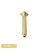 Norico Cavallo 200mm Brushed Yellow Gold Square Ceiling Mounted Shower Arm in Australia