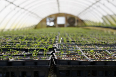 Testing... Testing... 