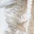 Close up of cotton on diaper