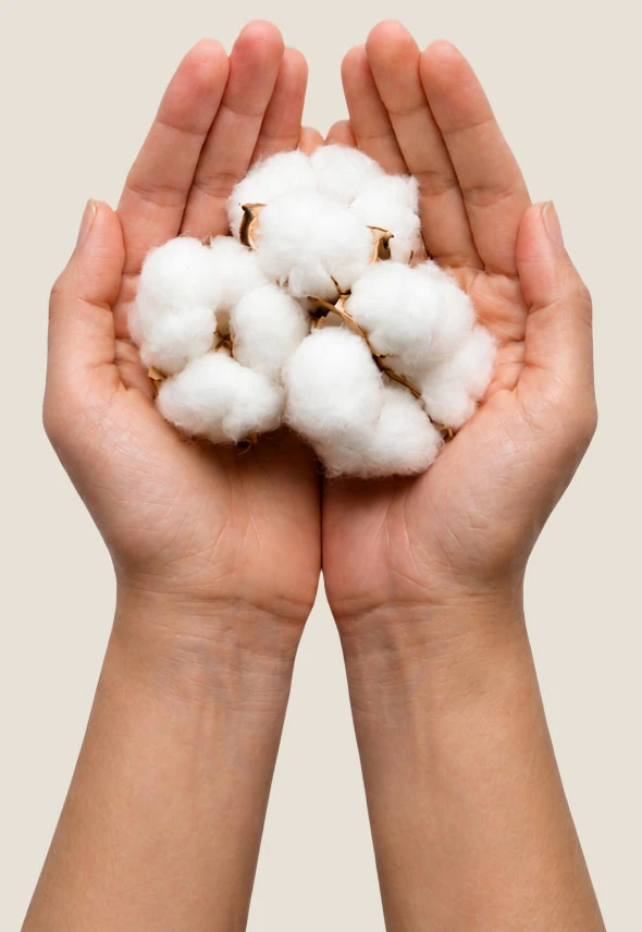 Cupped hands holding cotton