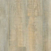 Kensington Maple